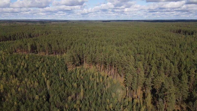 Автоматическая система обнаружения пожаров в лесах Беларуси